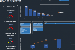 Observa los costos en el tiempo